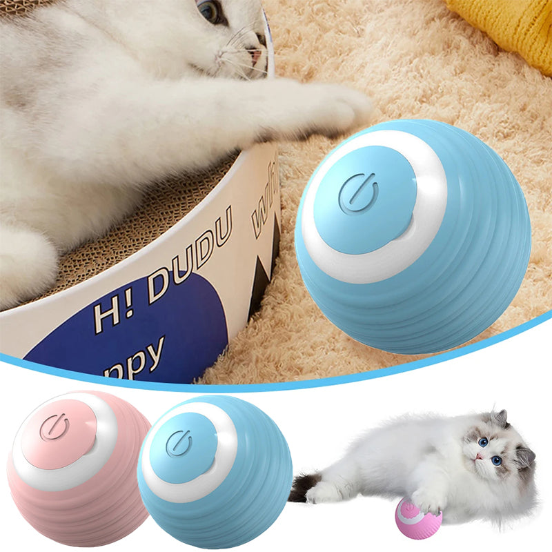 CatBall™️ Pelota Inteligente Para Gatos😻(Y para Perros si se la presta!🥳😹)